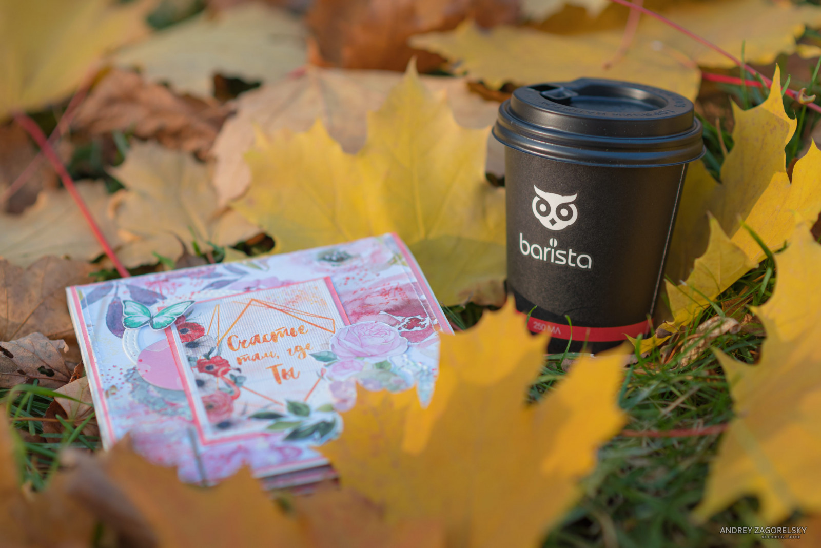 Путешествие с Barista. Пермский край, Усьвинские столбы